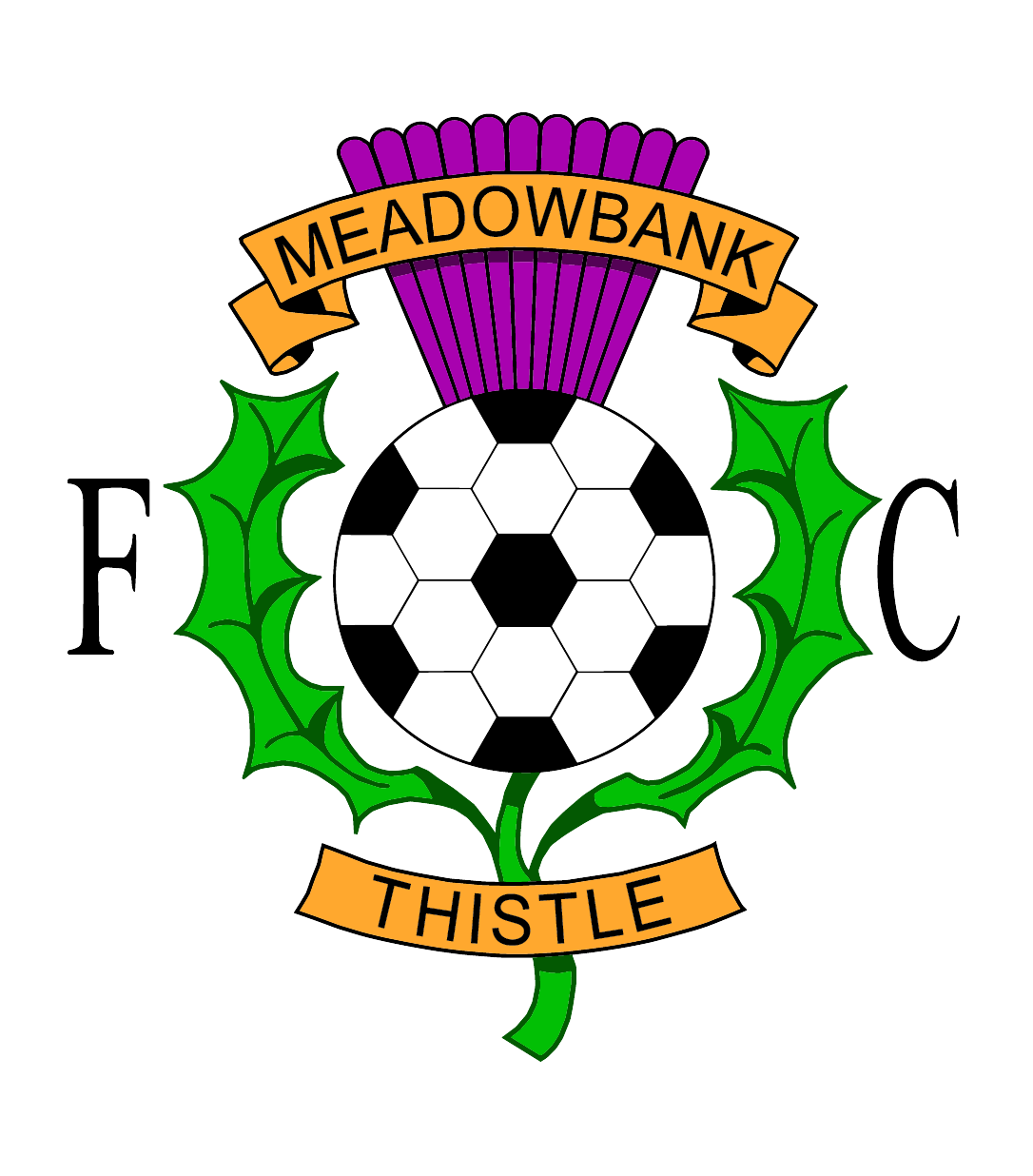 Meadowbank Thistle Archive